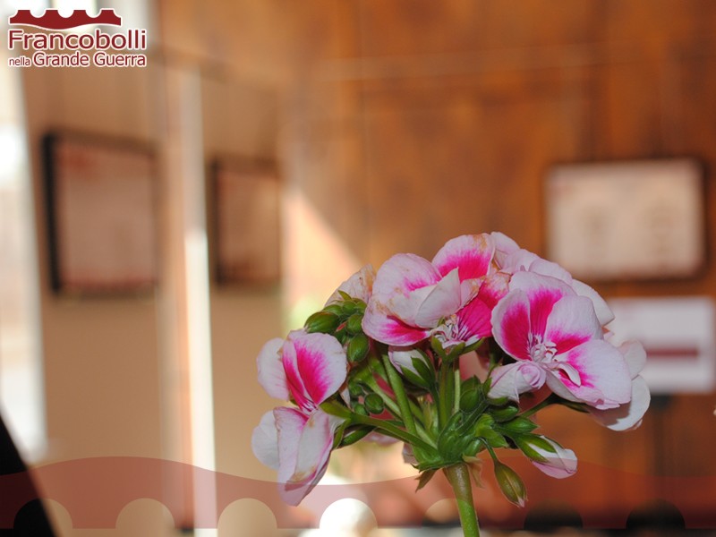 recoaro-mostra2014-09